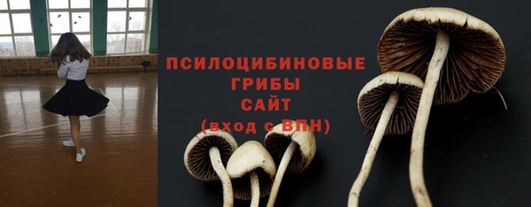 кокаин Инсар