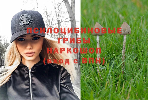 эйфоретик Алексеевка