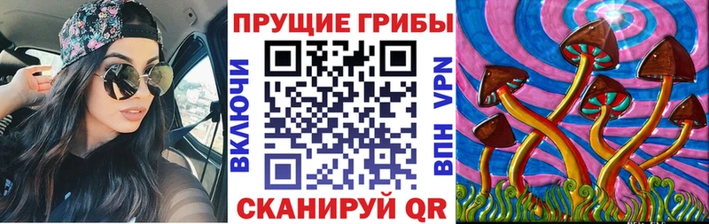 где продают наркотики  OMG как войти  Галлюциногенные грибы Psilocybe  Сясьстрой 